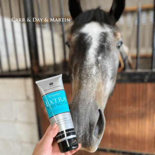 CARR & DAY & MARTIN  EXTRA STRONG FLYGARD REPELLENT GEL