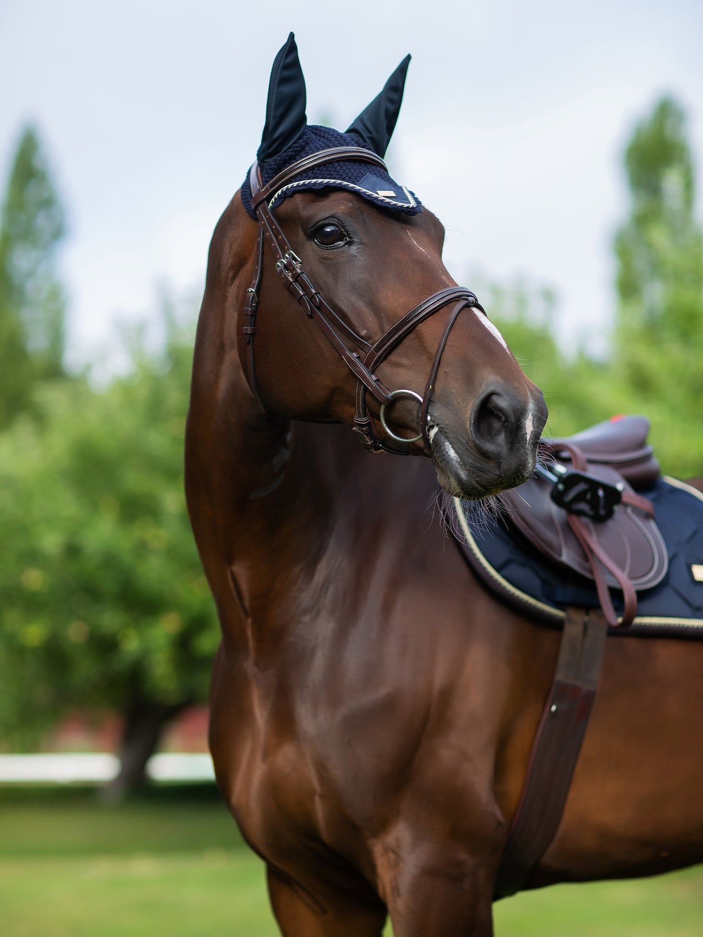 Equestrian Stockholm Royal Classic Navy Glossy Breathable Jump Saddle Pad