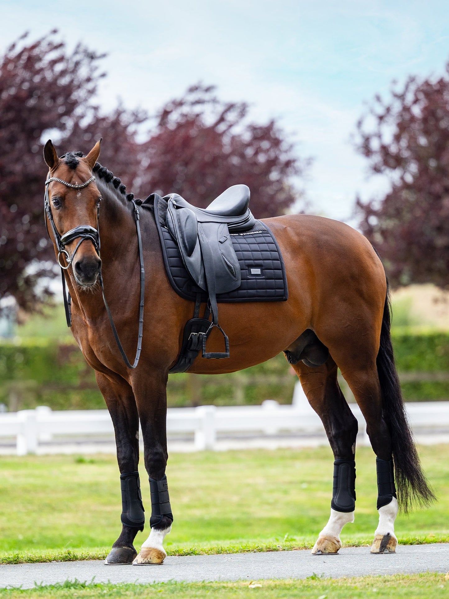 Black Performance Dressage Saddle Pad: Anti-Slip Grip, Bamboo Lined Comfort