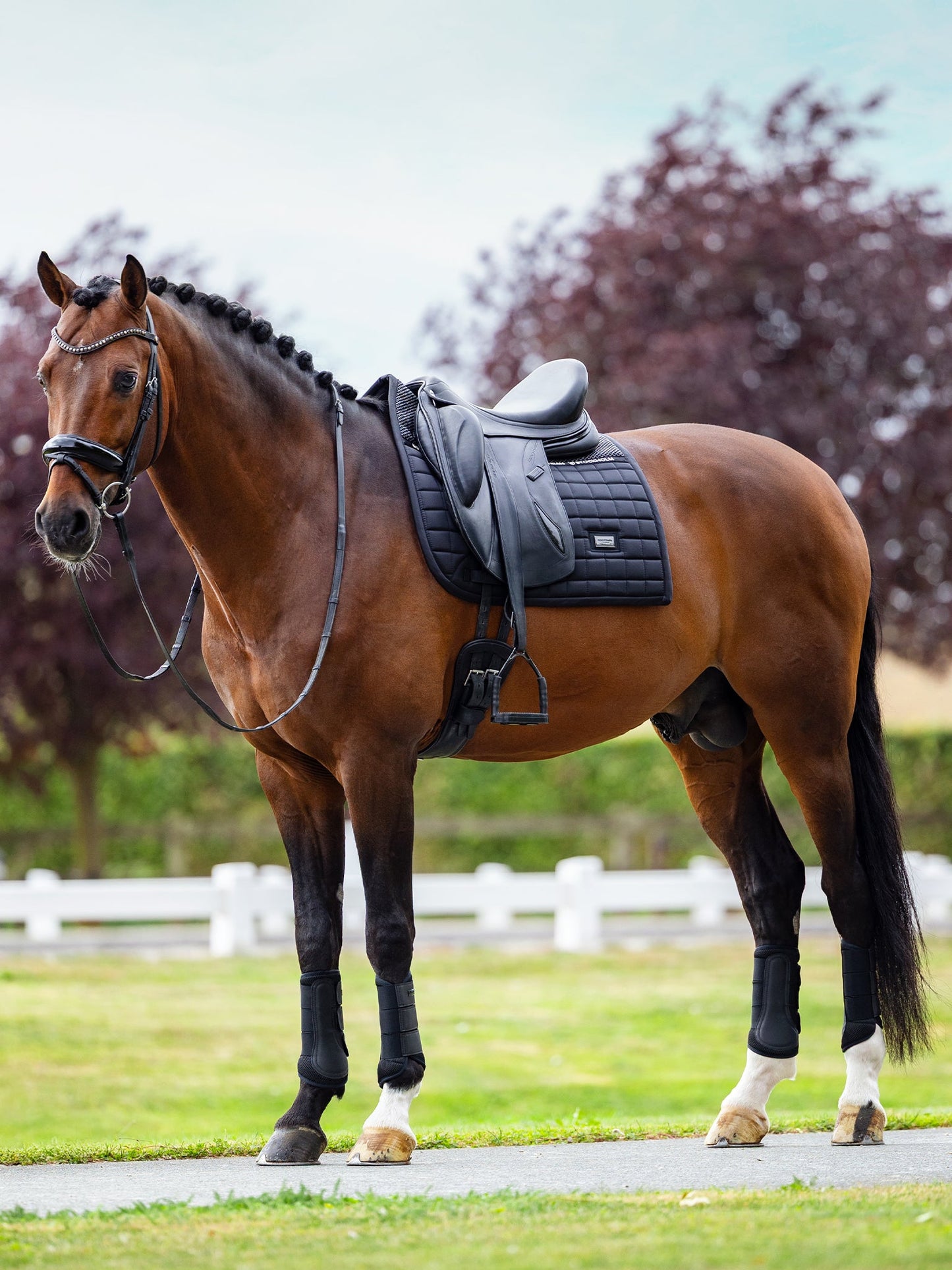 Black Performance Dressage Saddle Pad: Anti-Slip Grip, Bamboo Lined Comfort