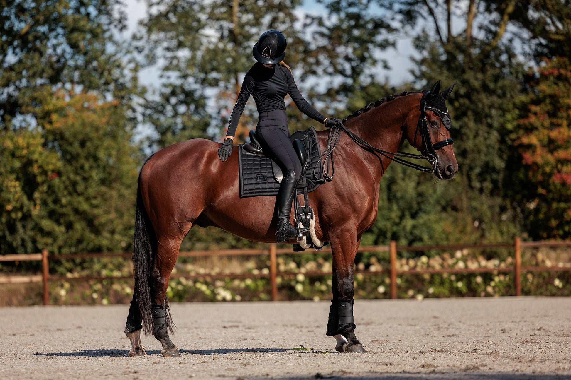 Black Performance Dressage Saddle Pad: Anti-Slip Grip, Bamboo Lined Comfort